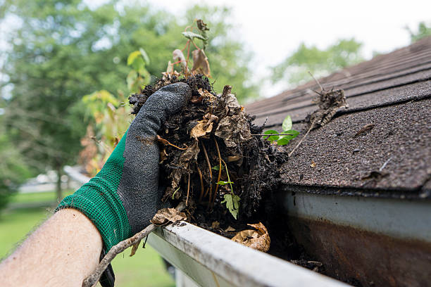 Gutter cleaning service on Calgary home